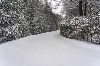 Canada, Ontario Landscape: Snow Covered Road