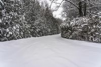 Canada, Ontario Landscape: Snow Covered Road