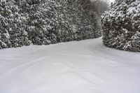 Canada, Ontario Landscape: Snow Covered Road