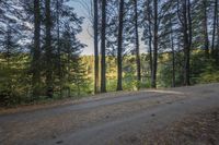 Canada Ontario Landscape: Trees by the Water