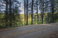 Canada Ontario Landscape: Trees by the Water