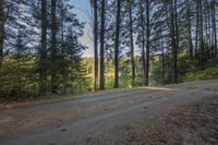 Canada Ontario Landscape: Trees by the Water