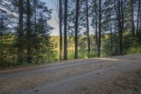 Canada Ontario Landscape: Trees by the Water