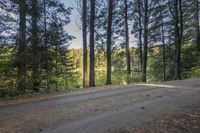 Canada Ontario Landscape: Trees by the Water