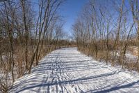 Canada Ontario Landscape: Water and Forest