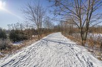 Canada Ontario Landscape: Water and Forest