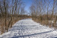 Canada Ontario Landscape: Water and Forest