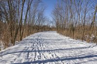 Canada Ontario Landscape: Water and Forest