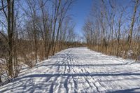 Canada Ontario Landscape: Water and Forest