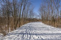 Canada Ontario Landscape: Water and Forest