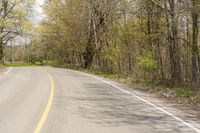 a road through the woods with some trees on both sides and an asphalt roadway and one with yellow and green lines