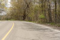 a road through the woods with some trees on both sides and an asphalt roadway and one with yellow and green lines