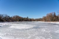 an open frozen pond surrounded by trees on the shore line in winter snow - covered field