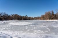 an open frozen pond surrounded by trees on the shore line in winter snow - covered field