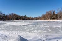 an open frozen pond surrounded by trees on the shore line in winter snow - covered field