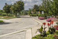 Residential Area in Ontario, Canada: A Day in the Landscape