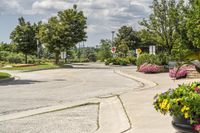 Residential Area in Ontario, Canada: A Day in the Landscape