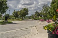 Residential Area in Ontario, Canada: A Day in the Landscape