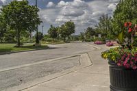 Residential Area in Ontario, Canada: A Day in the Landscape