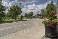 Residential Area in Ontario, Canada: A Day in the Landscape