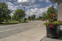 Residential Area in Ontario, Canada: A Day in the Landscape