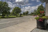 Residential Area in Ontario, Canada: A Day in the Landscape