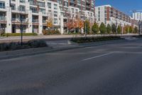 an empty street is lined with residential buildings, trees and shrubs in the middle of the photo