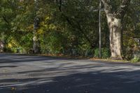 Canada Ontario Residential Road in Autumn