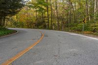 an empty road winding through woods in the fall leaves are changing colors while traffic signs line it