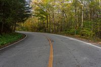 an empty road winding through woods in the fall leaves are changing colors while traffic signs line it