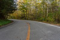 an empty road winding through woods in the fall leaves are changing colors while traffic signs line it