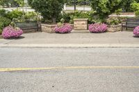 Canada Ontario Road with Green Grass