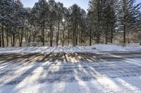 Canada Ontario Road through Snowy Forest