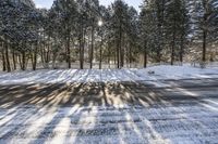 Canada Ontario Road Snowy Forest 002