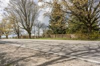 Canada Ontario: Rural Landscape with Sunlit Road