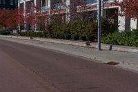 the stop sign has fallen leaves on the road by the trees and shrubbery that line the side of a street