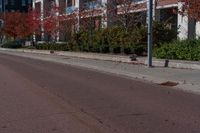 the stop sign has fallen leaves on the road by the trees and shrubbery that line the side of a street