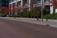 the stop sign has fallen leaves on the road by the trees and shrubbery that line the side of a street