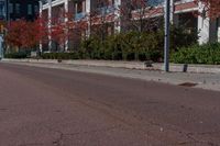 the stop sign has fallen leaves on the road by the trees and shrubbery that line the side of a street