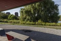 the view from behind a bench of a large city area next to a river, under which there are trees and bushes