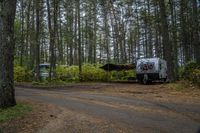 two small rv park trailers in the woods with trees and shrubs surrounding the area area