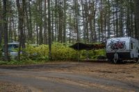 two small rv park trailers in the woods with trees and shrubs surrounding the area area