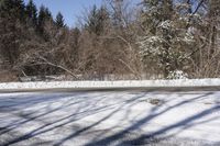 Canada Ontario Winter Landscape with Trees