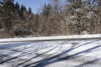 Canada Ontario Winter Landscape with Trees