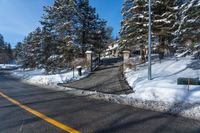 the road is covered with snow next to some trees and bushes for a driveway entrance