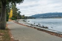 a bike path going along a beach next to the water with trees on each side