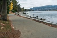 a bike path going along a beach next to the water with trees on each side