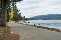 a bike path going along a beach next to the water with trees on each side