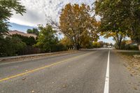 the long empty road is surrounded by trees and yellow leaves in the fall season of the year