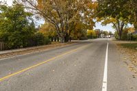 the long empty road is surrounded by trees and yellow leaves in the fall season of the year